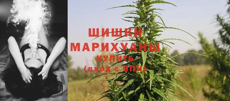 МАРИХУАНА SATIVA & INDICA  как найти наркотики  блэк спрут ссылка  Аргун 